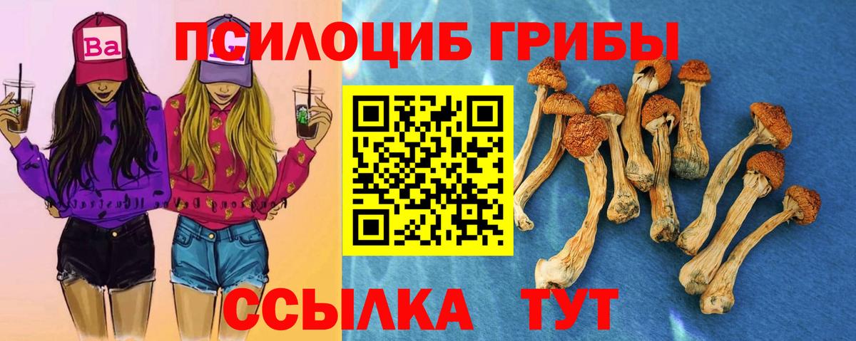 Псилоцибиновые грибы Psilocybine cubensis Анжеро-Судженск